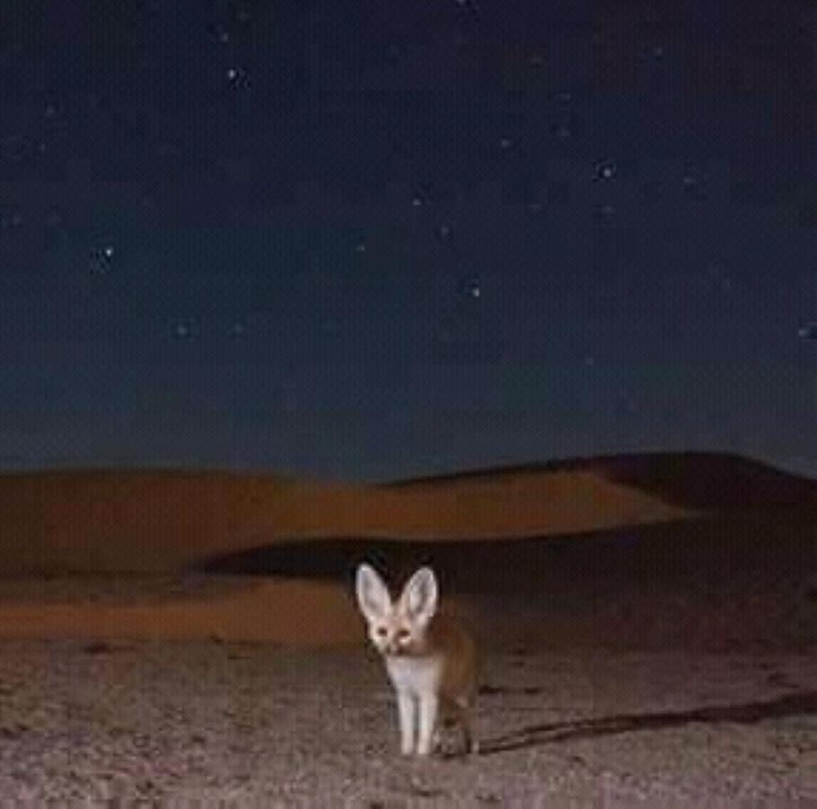 Готель Restcamp Ergchebbi Мерзуга Екстер'єр фото