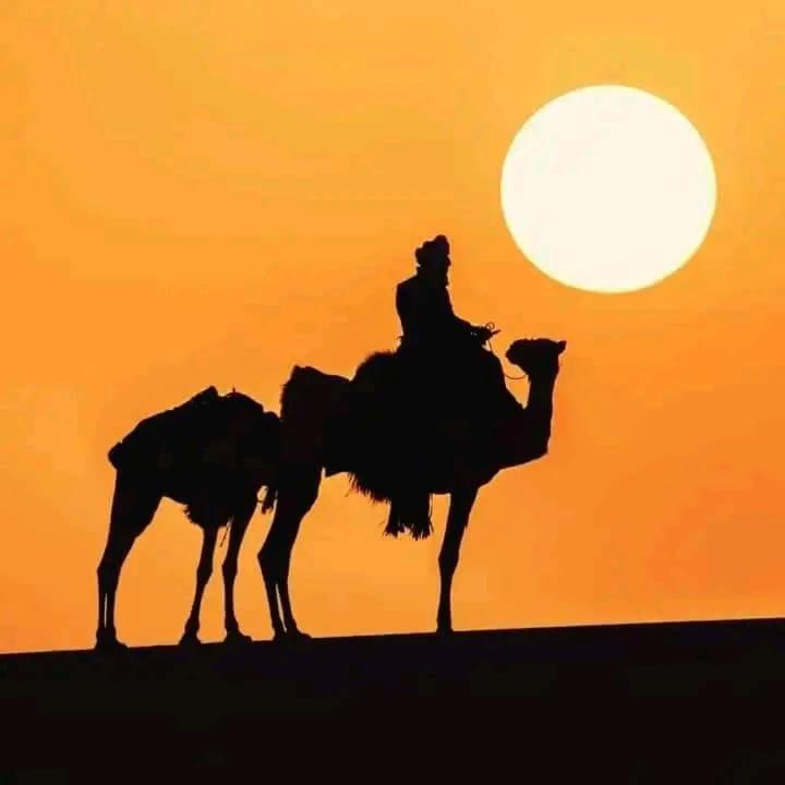 Готель Restcamp Ergchebbi Мерзуга Екстер'єр фото